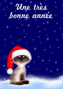 Un chaton sous les flocons pour 2026